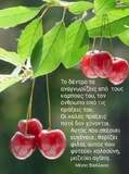 Η επιστήμη πίσω από το τέλειο γκασπάτσο Cantina Η επιστήμη πίσω από το τέλειο γκασπάτσο Το γκασπάτσο είναι η απόλυτη καλοκαιρινή σούπα. Η ώριμη ντομάτα, τα φρέσκα λαχανικά και το εξαιρετικό παρθένο ελαιόλαδο ενώνονται σε μια δροσερή, βελούδινη ισορροπία γεύσης.