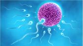 Biopet: Το νέο σημείο φροντίδας για τα κ... Biopet: Το νέο σημείο φροντίδας για τα κατοικίδια στην Πάτρα που ξεχωρίζει 12/05/2025, 11:47