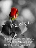 Τρόμος για οδηγό λεωφορείου στο Πέραμα: Επιβάτης έβγαλε όπλο επειδή δεν σταμάτησε στη στάση που ήθελε Ελλαδα Τρόμος για οδηγό λεωφορείου στο Πέραμα: Επιβάτης έβγαλε όπλο επειδή δεν σταμάτησε στη στάση που ήθελε Ο οδηγός αντέδρασε ψύχραιμα, ενημέρωσε τις Αρχές και ο δράστης συνελήφθη - Μέσα στο όχημα υπήρχαν κι άλλοι επιβάτες