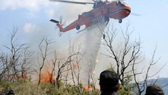 Φωτιά στην Χίο: Μπαράζ μηνυμάτων του 11... Φωτιά στην Χίο: Μπαράζ μηνυμάτων του 112 για εκκένωση οικισμών 23/06/2025, 08:17