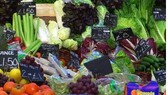 Κάστρο Πηδήματος Μεσσηνίας: Το «Ζάλογγο» της Μεσσηνίας το 1821 με την δραματική ιστορία του