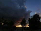 Η υπερθέρμανση των ωκεανών πλήττει τους πληθυσμούς των ψαριών ΠΡΙΝ 11 ΛΕΠΤΑ