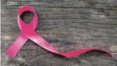 Πάτρα: 4ο Εικαστικό Εκπαιδευτικό Event «Επι/Βιώσιμη Έκφραση»- «Αφιέρωμα στην φύση» 22/09/2025, 08:50